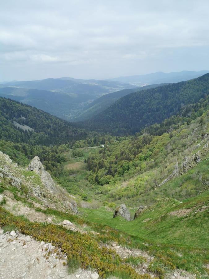 Studio Hauteur Gérardmer Dış mekan fotoğraf