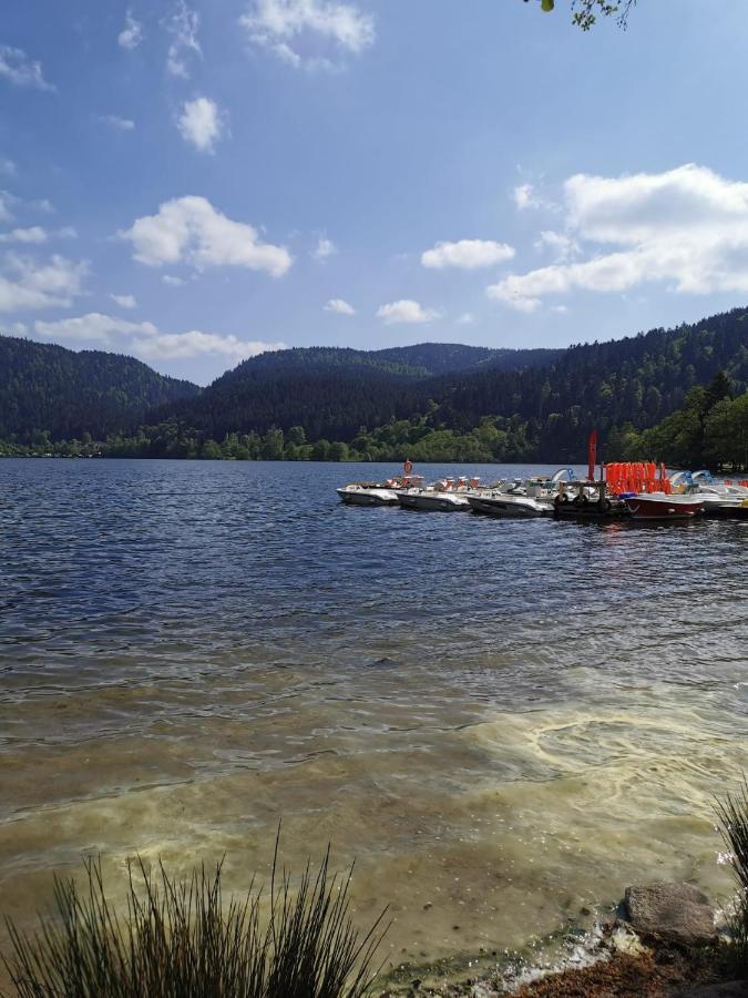 Studio Hauteur Gérardmer Dış mekan fotoğraf
